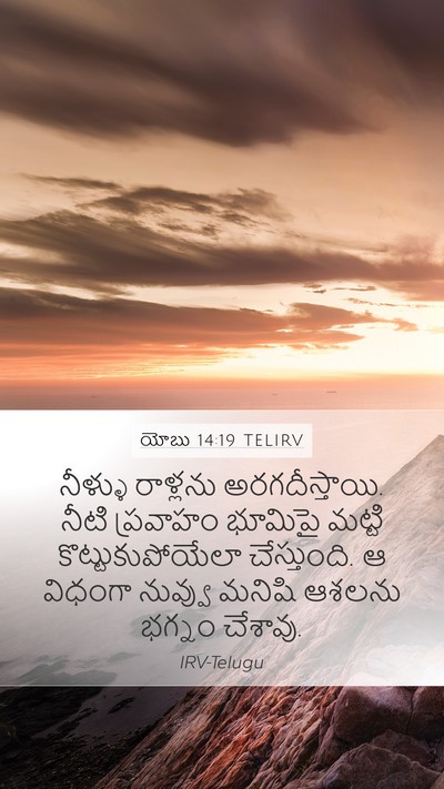 యోబు 14:19 TELIRV Bible Verse Image