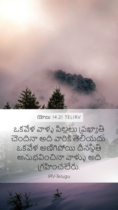 యోబు 14:21 TELIRV Bible Verse Image