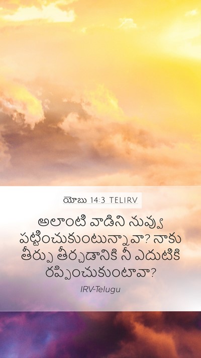 యోబు 14:3 TELIRV Bible Verse Image