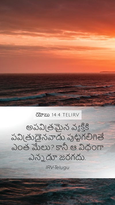 యోబు 14:4 TELIRV Bible Verse Image