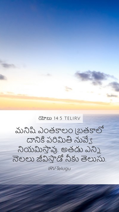 యోబు 14:5 TELIRV Bible Verse Image