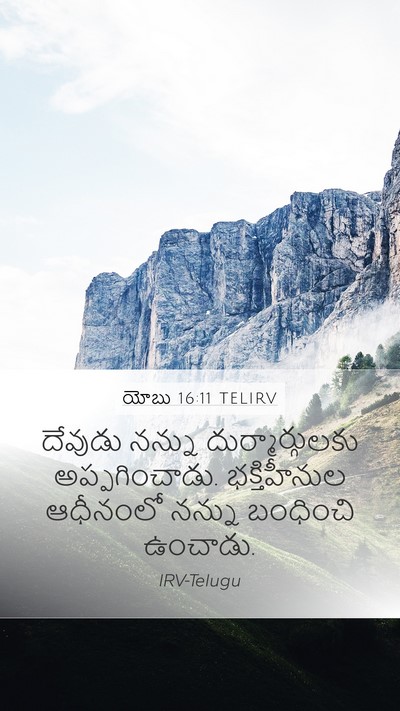 యోబు 16:11 TELIRV Bible Verse Image