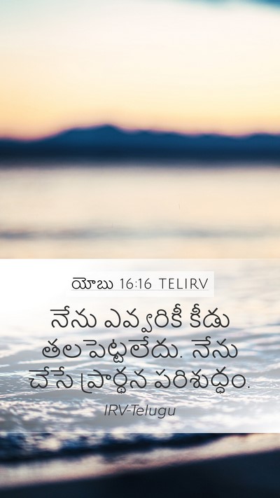 యోబు 16:16 TELIRV Bible Verse Image
