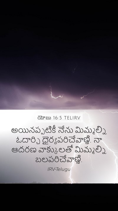 యోబు 16:5 TELIRV Bible Verse Image