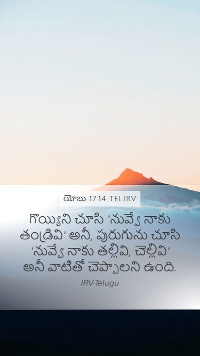 యోబు 17:14 TELIRV Bible Verse Image