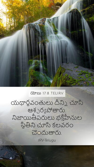 యోబు 17:8 TELIRV Bible Verse Image