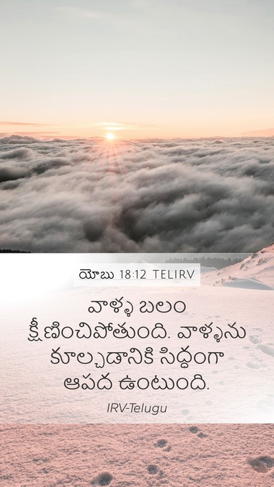 యోబు 18:12 TELIRV Bible Verse Image