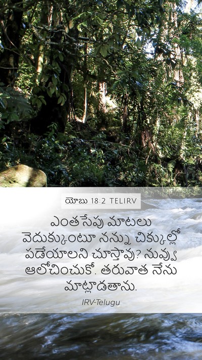 యోబు 18:2 TELIRV Bible Verse Image