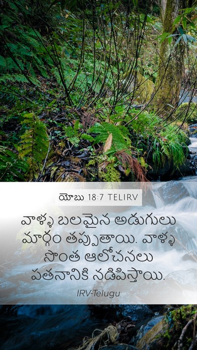 యోబు 18:7 TELIRV Bible Verse Image