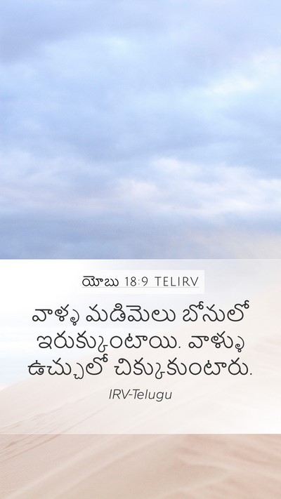 యోబు 18:9 TELIRV Bible Verse Image