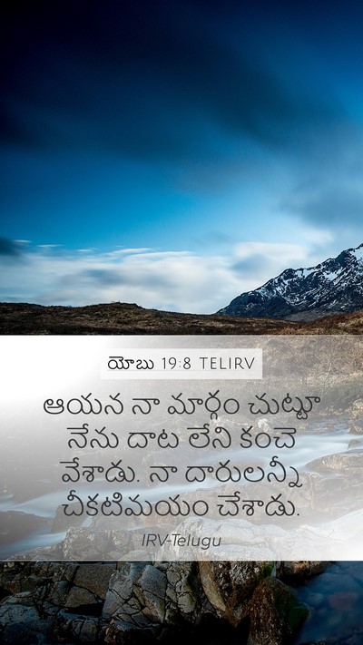 యోబు 19:8 TELIRV Bible Verse Image