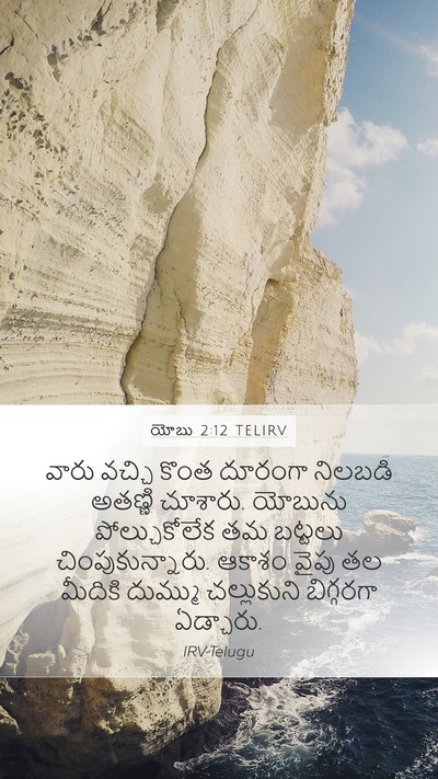 యోబు 2:12 TELIRV Bible Verse Image