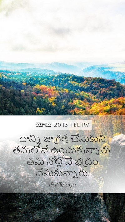 యోబు 20:13 TELIRV Mobile Phone Wallpaper - దాన్ని జాగ్రత్త - Mobile Bible Verse Wallpaper