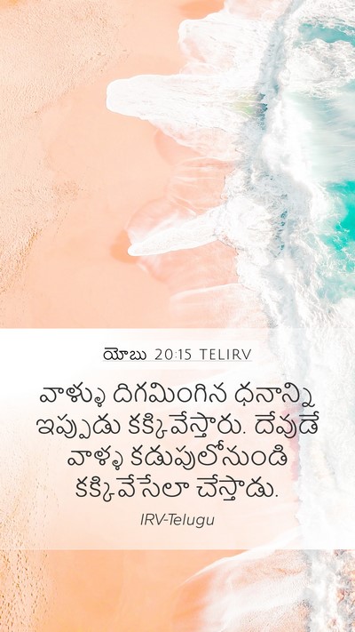యోబు 20:15 TELIRV Bible Verse Image
