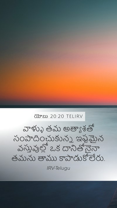 యోబు 20:20 TELIRV Bible Verse Image