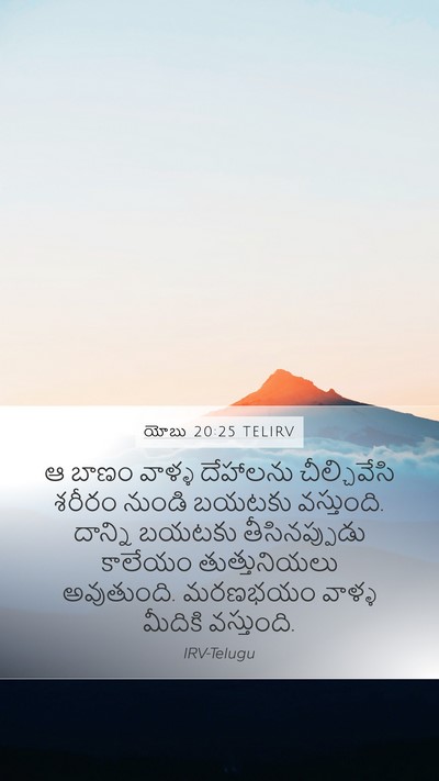 యోబు 20:25 TELIRV Bible Verse Image