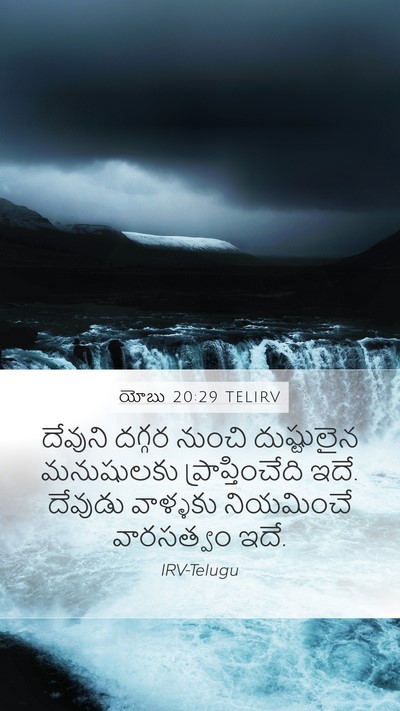 యోబు 20:29 TELIRV Bible Verse Image