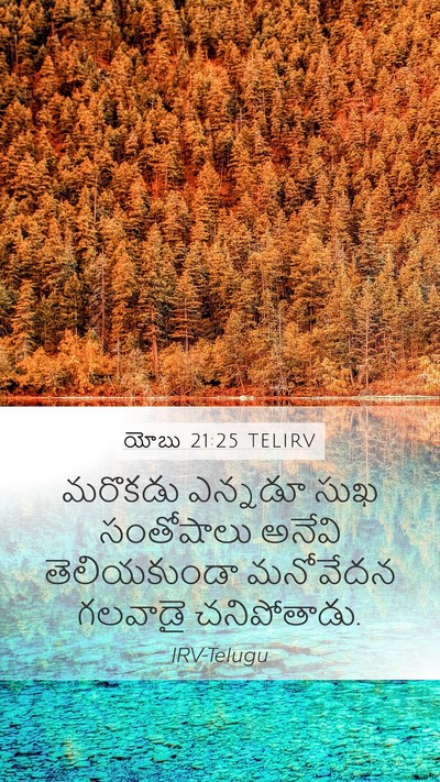 యోబు 21:25 TELIRV Bible Verse Image