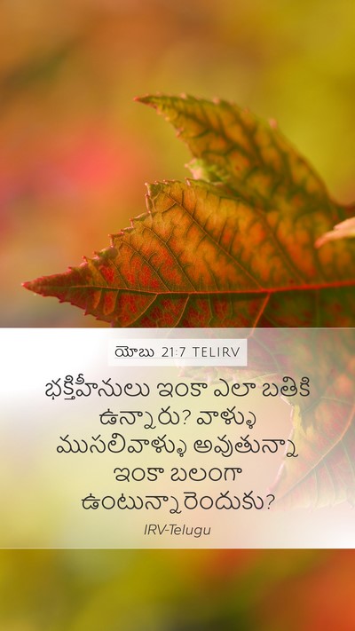 యోబు 21:7 TELIRV Bible Verse Image