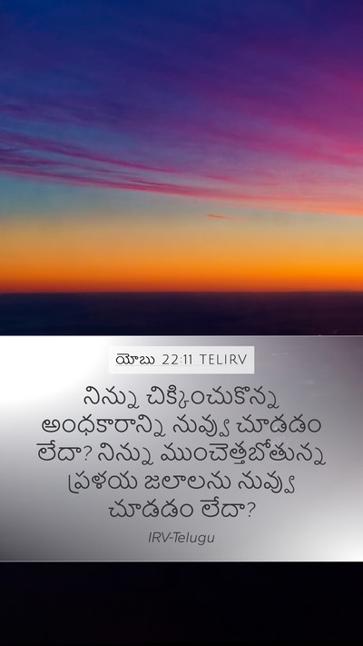 యోబు 22:11 TELIRV Bible Verse Image
