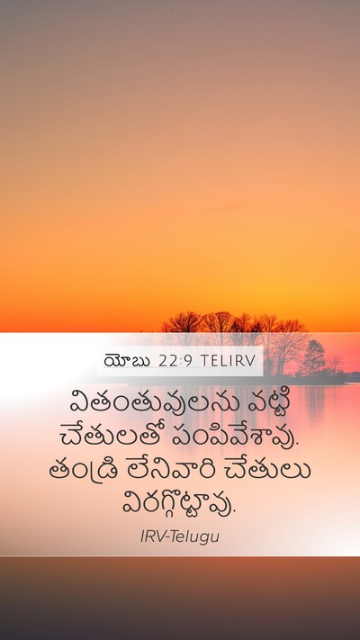 యోబు 22:9 TELIRV Bible Verse Image