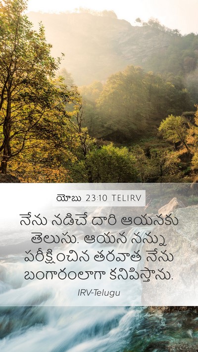యోబు 23:10 TELIRV Bible Verse Image