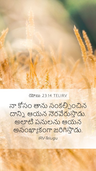 యోబు 23:14 TELIRV Mobile Phone Wallpaper - నా కోసం తాను - Mobile Bible Verse Wallpaper