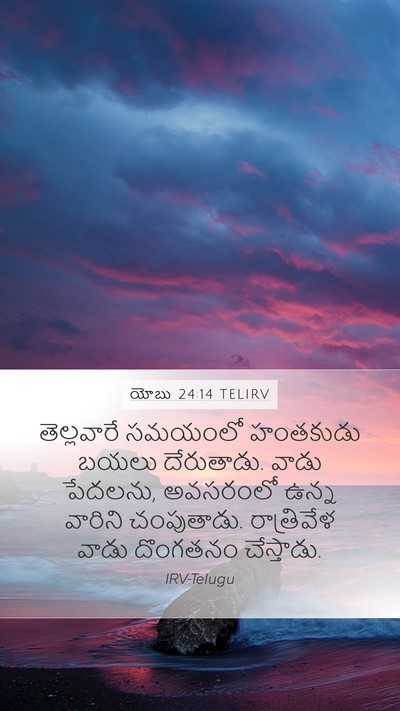యోబు 24:14 TELIRV Bible Verse Image