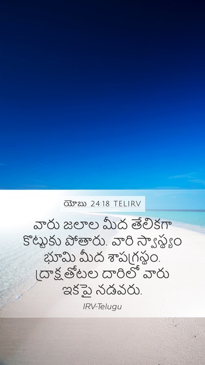 యోబు 24:18 TELIRV Bible Verse Image