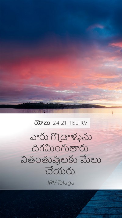 యోబు 24:21 TELIRV Bible Verse Image