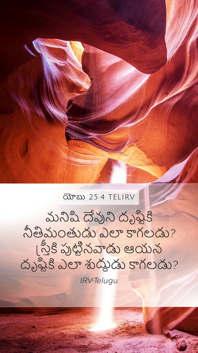 యోబు 25:4 TELIRV Bible Verse Image