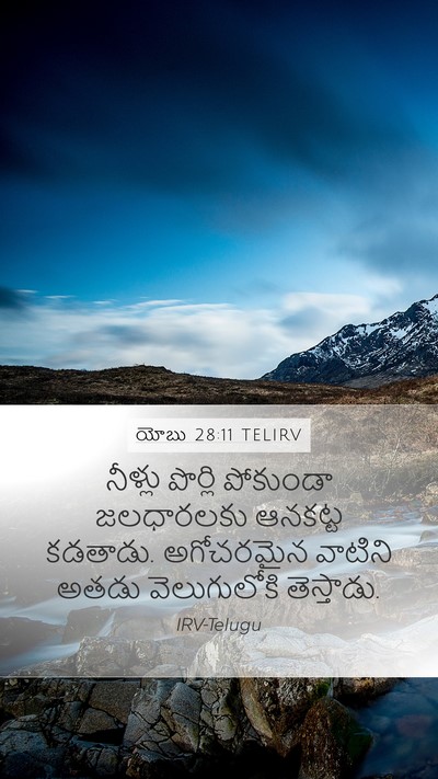 యోబు 28:11 TELIRV Bible Verse Image