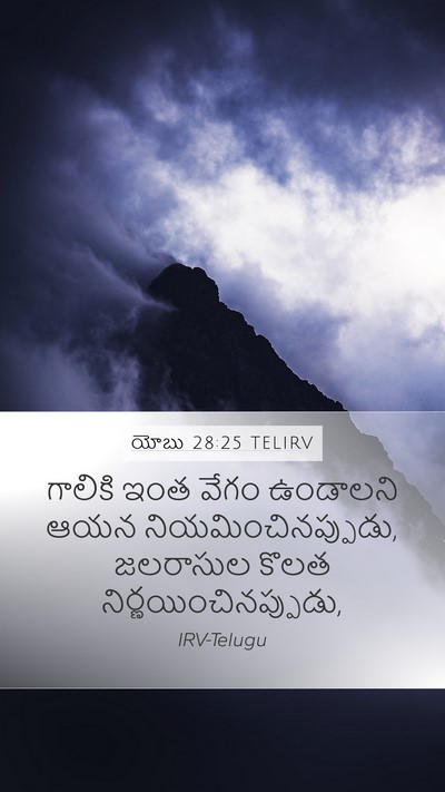 యోబు 28:25 TELIRV Bible Verse Image