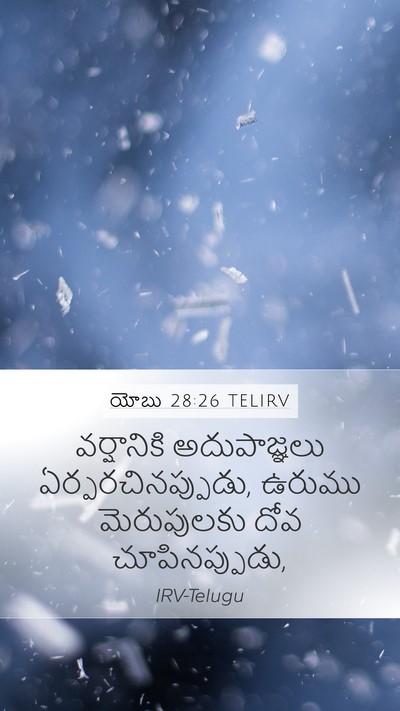 యోబు 28:26 TELIRV Bible Verse Image