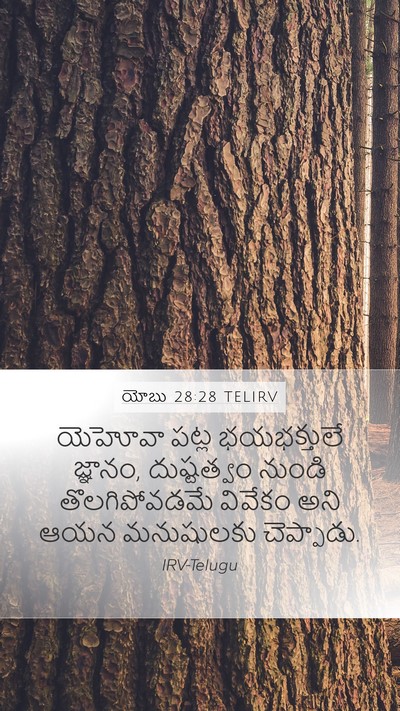 యోబు 28:28 TELIRV Bible Verse Image