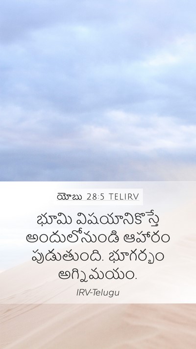 యోబు 28:5 TELIRV Bible Verse Image