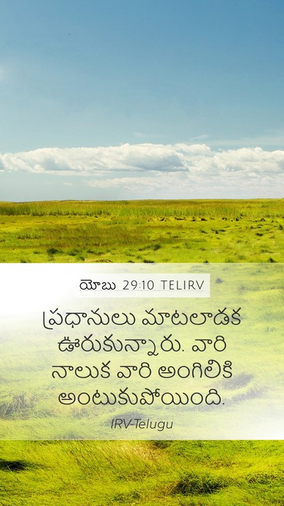 యోబు 29:10 TELIRV Bible Verse Image
