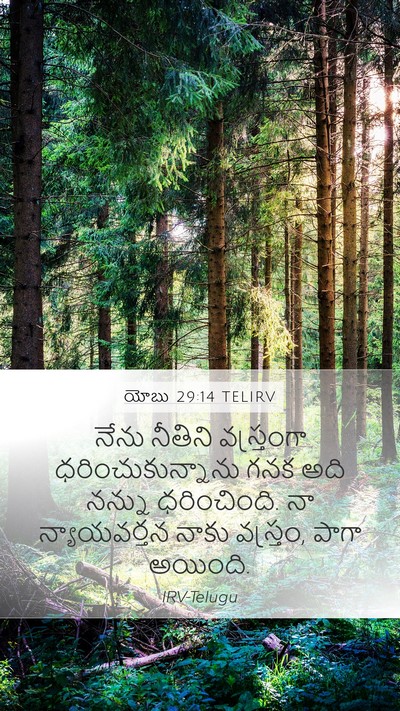 యోబు 29:14 TELIRV Bible Verse Image