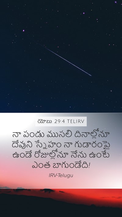 యోబు 29:4 TELIRV Bible Verse Image