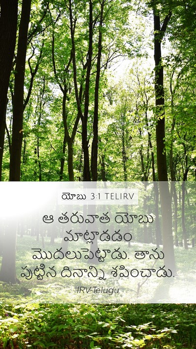 యోబు 3:1 TELIRV Bible Verse Image