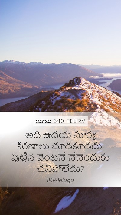 యోబు 3:10 TELIRV Bible Verse Image
