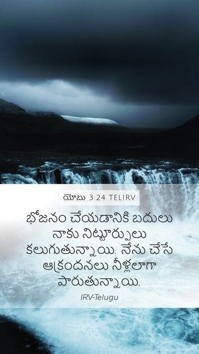 యోబు 3:24 TELIRV Bible Verse Image