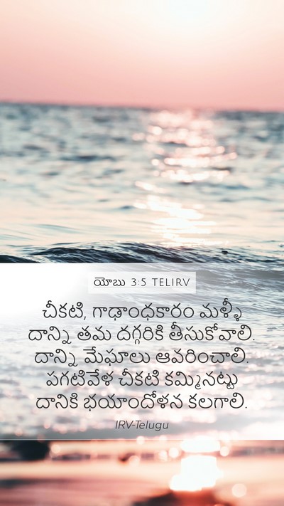 యోబు 3:5 TELIRV Bible Verse Image