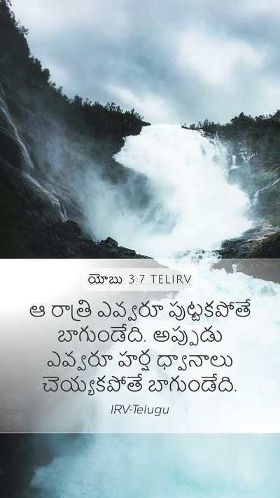యోబు 3:7 TELIRV Mobile Phone Wallpaper - ఆ రాత్రి ఎవ్వరూ - Mobile Bible Verse Wallpaper
