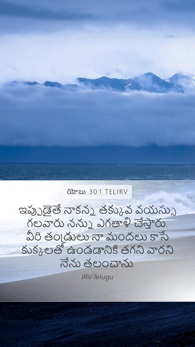 యోబు 30:1 TELIRV Bible Verse Image