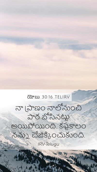 యోబు 30:16 TELIRV Bible Verse Image