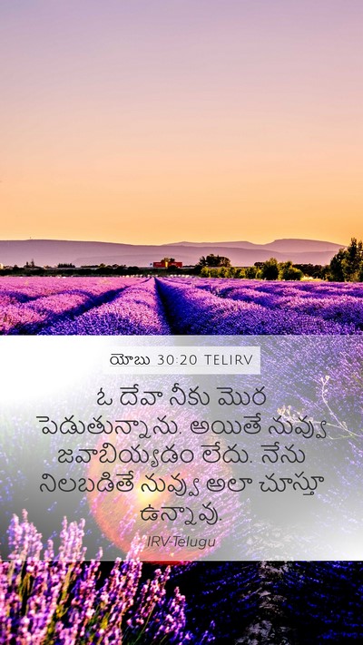 యోబు 30:20 TELIRV Bible Verse Image