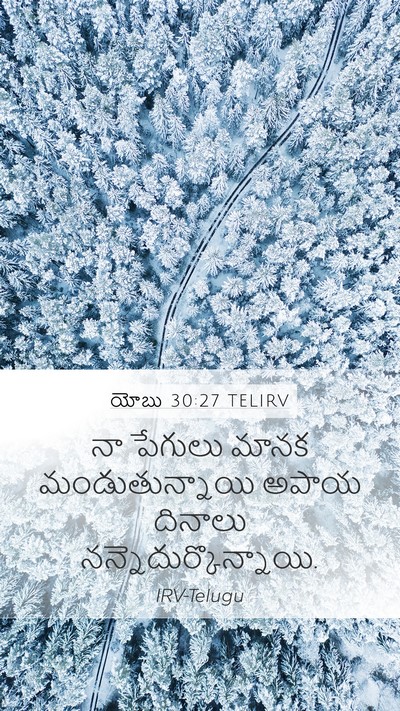 యోబు 30:27 TELIRV Bible Verse Image