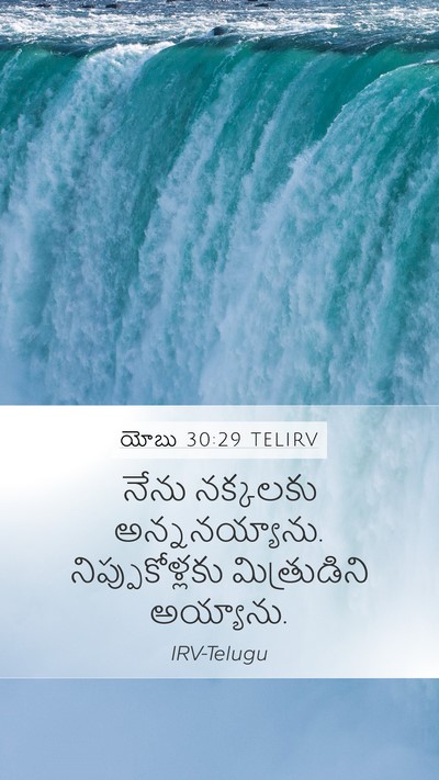 యోబు 30:29 TELIRV Bible Verse Image