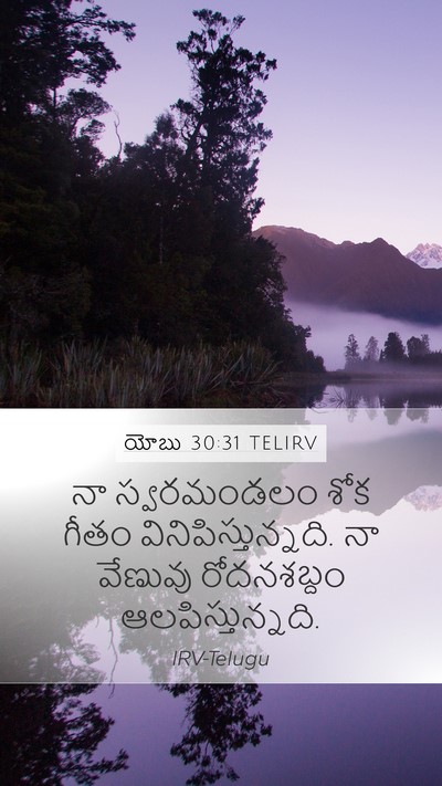 యోబు 30:31 TELIRV Mobile Phone Wallpaper - నా స్వరమండలం శోక - Mobile Bible Verse Wallpaper